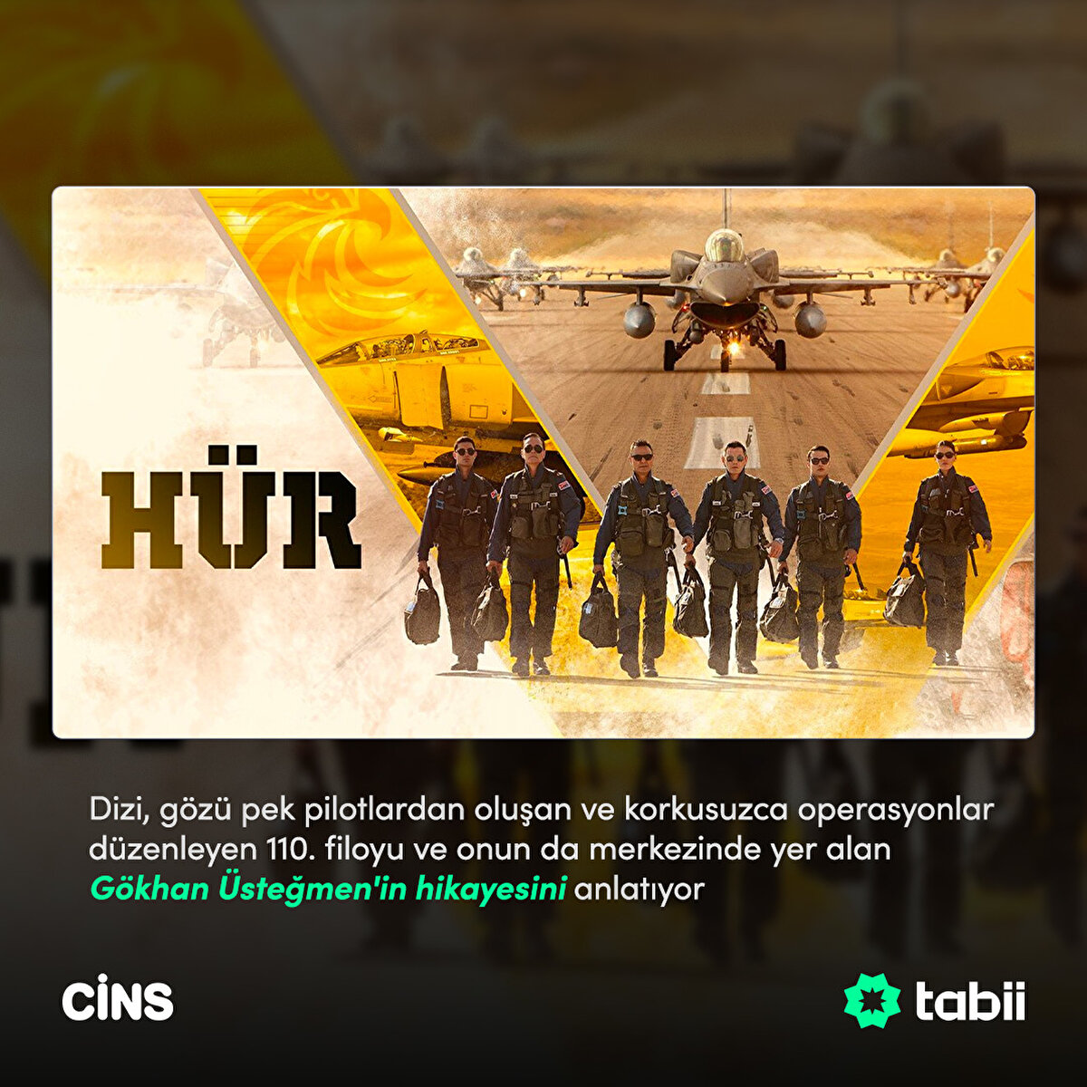 Dizi, gözü pek pilotlardan oluşan ve korkusuzca operasyonlar düzenleyen 110. filoyu ve onun da merkezinde yer alan Gökhan Üsteğmen'in hikayesini anlatıyor