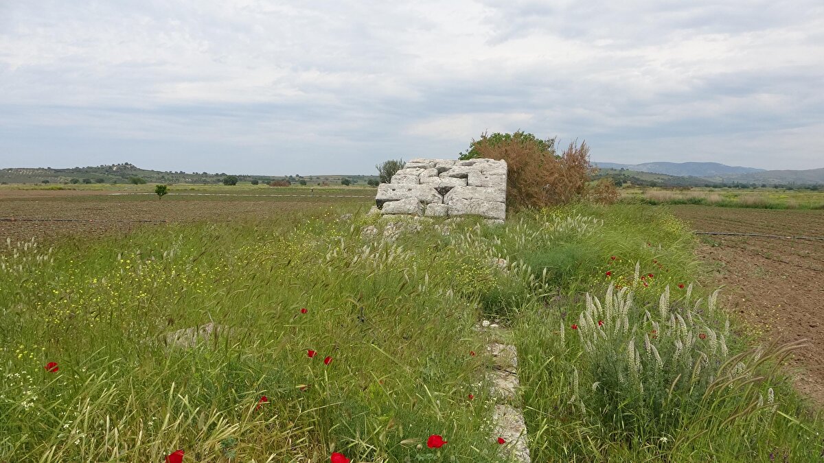 "Yapı kalıntıları bugün Tuzla yerleşiminde tarlaların arasında gün yüzüne çıkmayı bekliyor. Bu köprü Antik Dönem'deki ismiyle Satnioeis, yani bugünkü Tuzla Çayı'nı aşmak için, inşa edilmiş önemli bir Roma yapısıdır. Milattan sonra 1'inci yüzyılda inşa edildiğini biliyoruz.