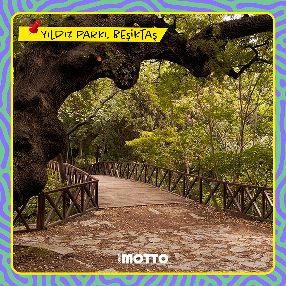 Yıldız Parkı, Beşiktaş