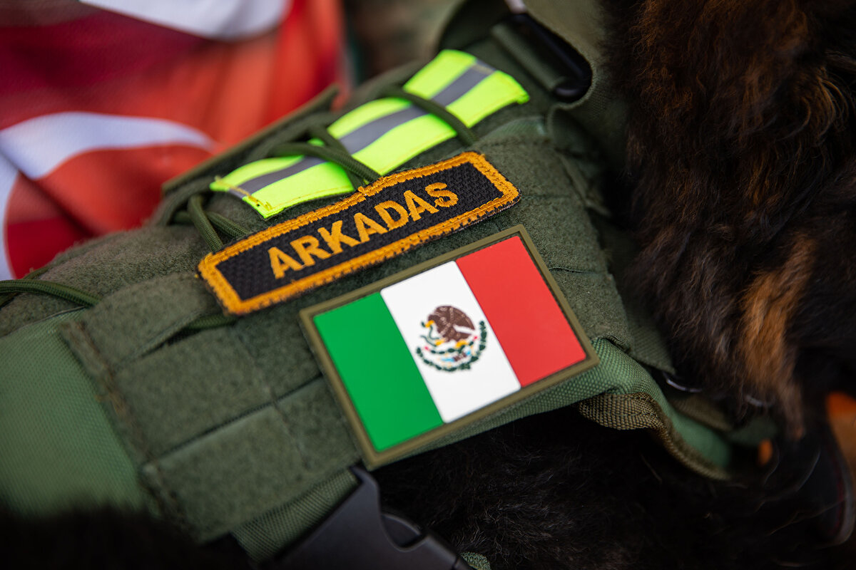 Köpeğe 'Arkadaş' ismi verildiği açıklandı. Proteo, Kahramanmaraş'ta 6 Şubat'ta meydana gelen deprem sonrası Meksika'dan gelen arama kurtarma ekibine eşlik ederken hayatını kaybetmişti. 