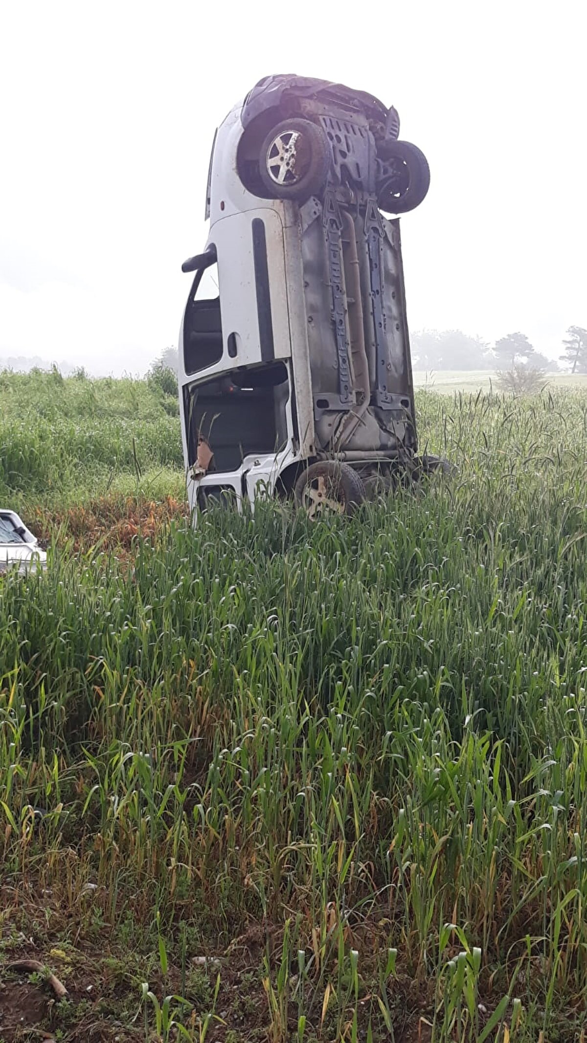 İlk müdahalesi yapılan Akgül, Adana Şehir Eğitim ve Araştırma Hastanesi'ne sevk edildi.
