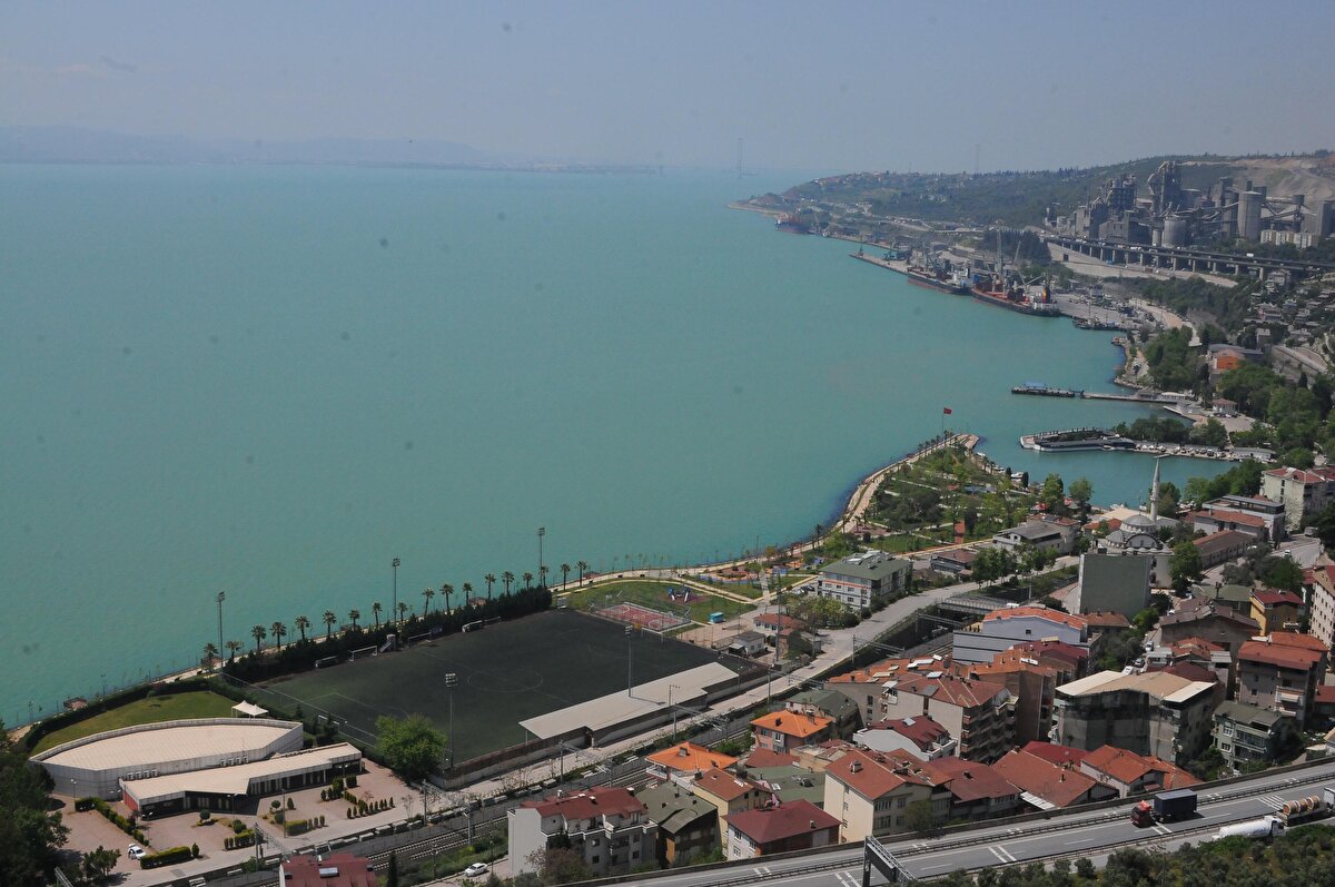 Körfezdeki değişime ilişkin konuşan Kocaeli Üniversitesi Fen Edebiyat Fakültesi Biyoloji Bölümü Öğretim Üyesi Prof. Dr. Halim Aytekin Ergül, "Bu oluşumlar, zaman zaman rastladığımız bizi çok şaşırtmayan oluşumlar. Kokolitofor denilen tek hücreli canlıların sayıca artışının sonucunda meydana geliyor. Bölgemizde daha evvel de yine yılın bu zamanlarında aşağı yukarı meydana gelmişti. Büyük ölçüde bu tür canlıları besleyen, besleyici element tabir edilen azotlu ve fosforlu bileşiklerin miktar olarak yeterli olması ve üremelerini desteklemesi durumunda gerçekleşen bir durumdur.