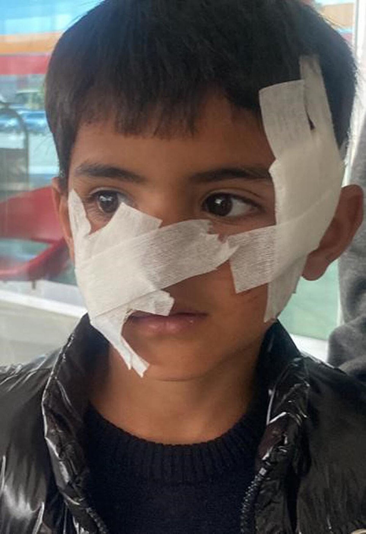 <br>"KÖPEKLER AÇLIKTAN MİLLETE SALDIRIYOR"<br><br>Köyde sahipleri tarafından terk edilen köpekler yüzünden çocukların okula gitmeye korktuğunu söyleyen Armutlu Köyü Muhtarı Müdür Kaya, "Köyümüzde köpeklerin çocuklara saldırması ilk değil. Bundan birkaç gün önce de 3 çocuğu yaralamışlardı. Köpekler açlıktan millete saldırıyor. Saldırıya uğrayan ve bunu duyan çocuklar okula gitmek istemiyor. Bunun için ilçe kaymakamı ve belediye başkanından yardım istedik ama henüz bir şey yapılmadı. Buradaki sahipsiz köpeklerin toplanmasını istiyoruz" dedi.<br><br>