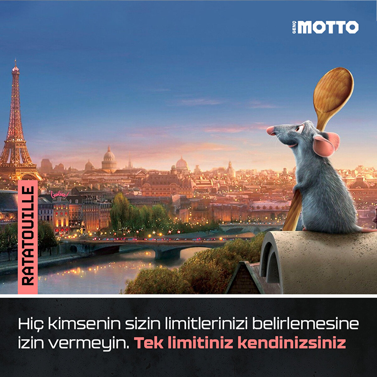 Ratatouille:
Hiç kimsenin sizin limitlerinizi belirlemesine izin vermeyin. Tek limitiniz kendinizsiniz