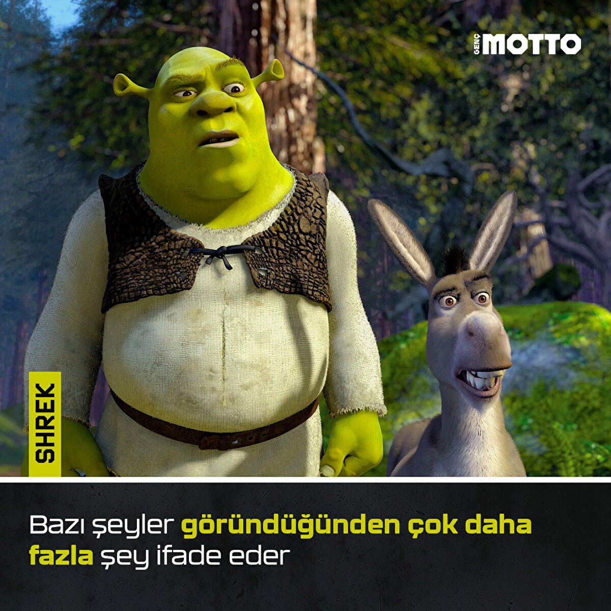 Shrek:
Bazı şeyler göründüğünden çok daha fazla şey ifade eder