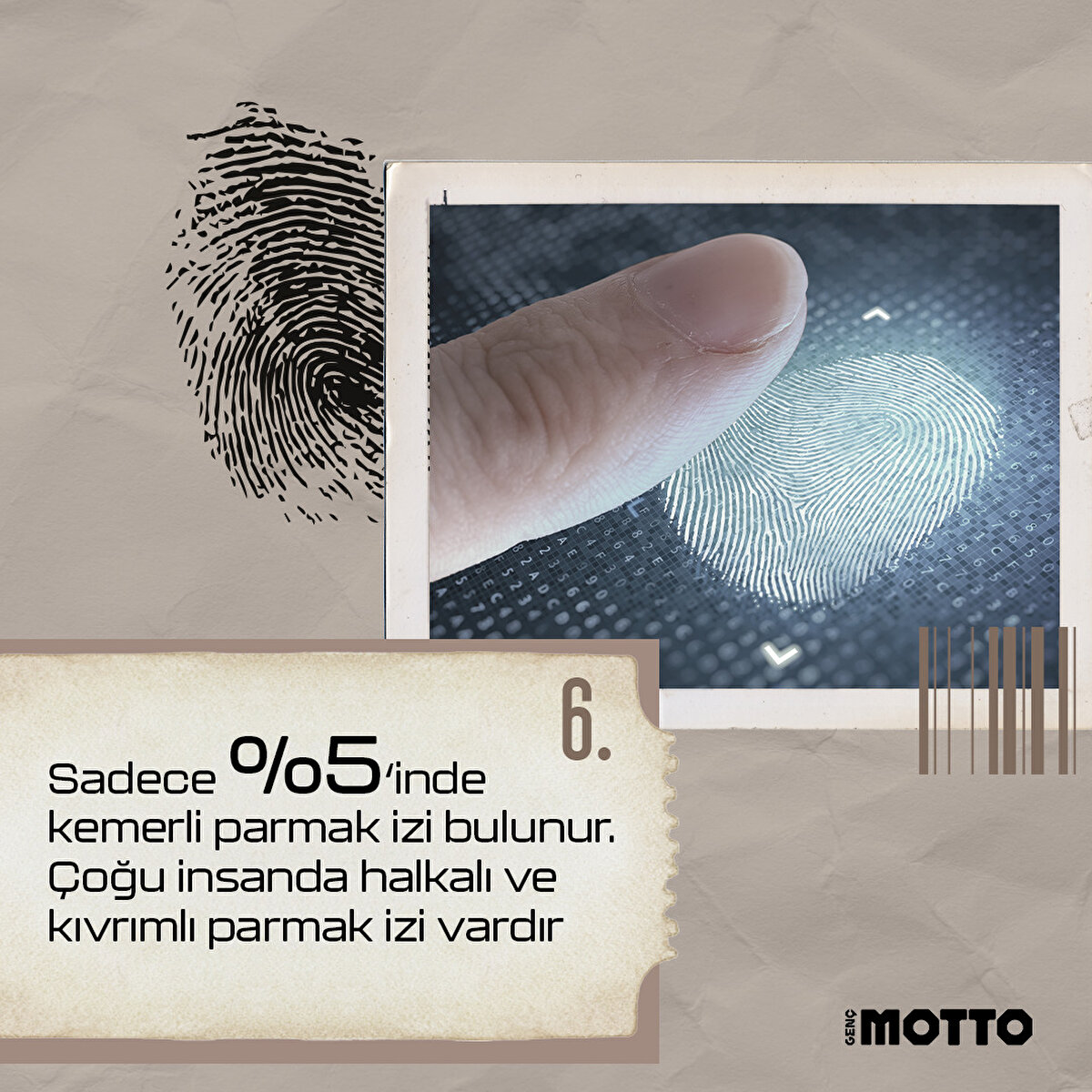 Sadece %5'imizde kemerli parmak izi bulunur. Çoğu insanda halkalı ve kıvrımlı parmak izi vardır