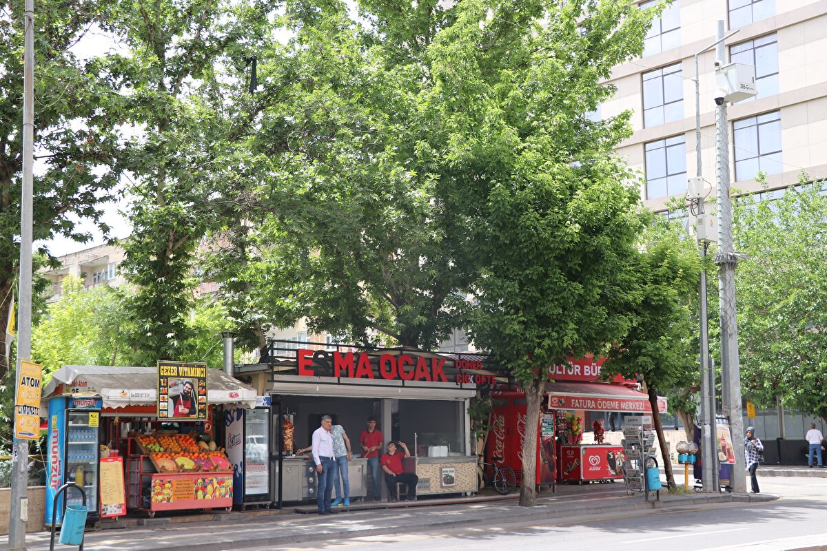 Sertçelik, geçen yıl, dükkanın ek bölümünü, ağaç, içinde kalacak şekilde düzenledi.