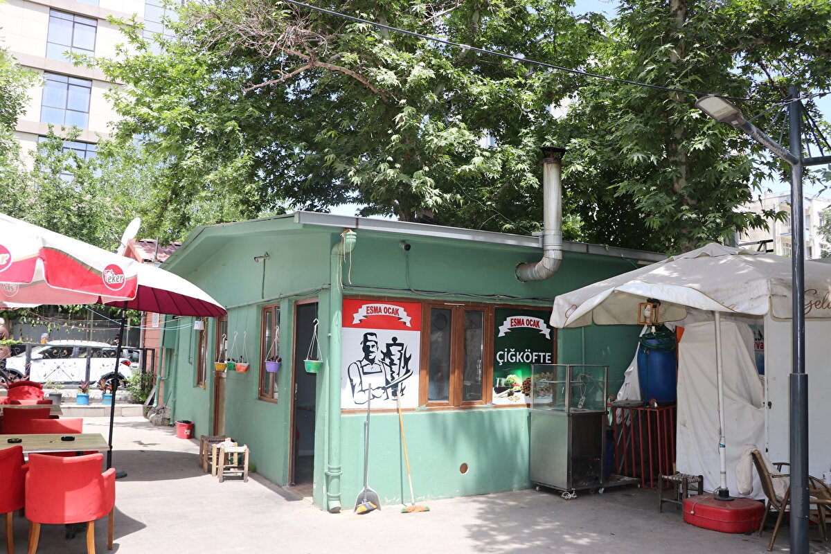 Sertçelik, dükkanının yanındaki 45 yıllık çınar ağacı, işletmeyi genişleteceği alanda kalınca kesmeye kıyamadı.