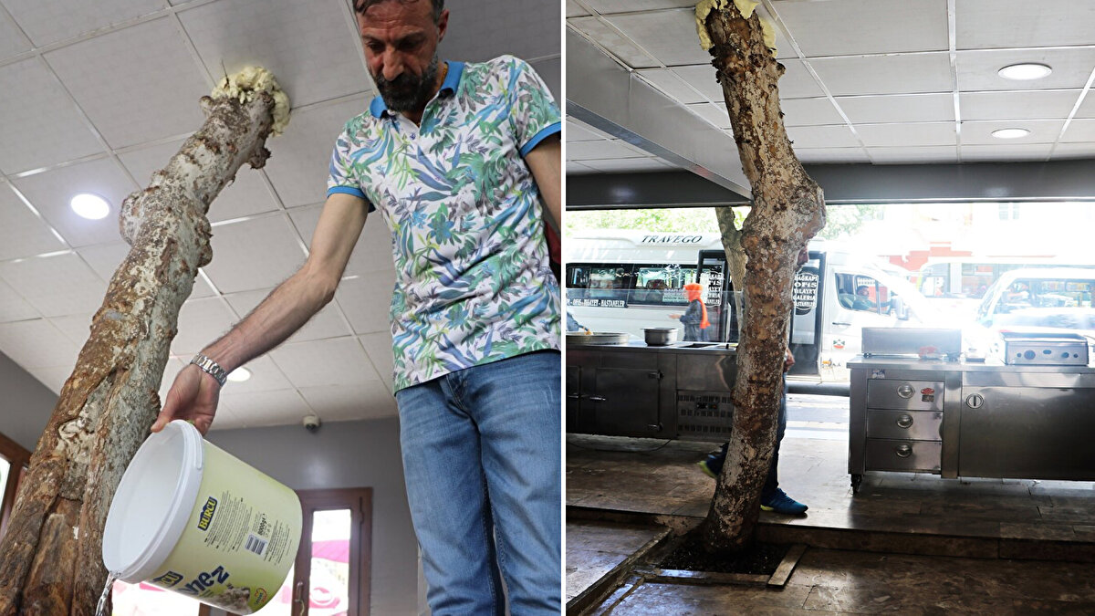 Yenişehir ilçesinde dönercilik yapan Hüseyin Sertçelik, 5 yıl önce aldığı işletmesini büyütmek istedi. 