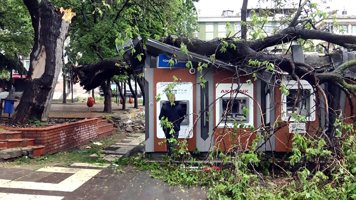 ATM cihazlarından birinin alarm sisteminin devreye girmesi üzerine polis ekibi sevk edilirken Avcılar Belediyesi de bir ekibi göndererek ağacın motorlu testere ile kesimini sağladı. 