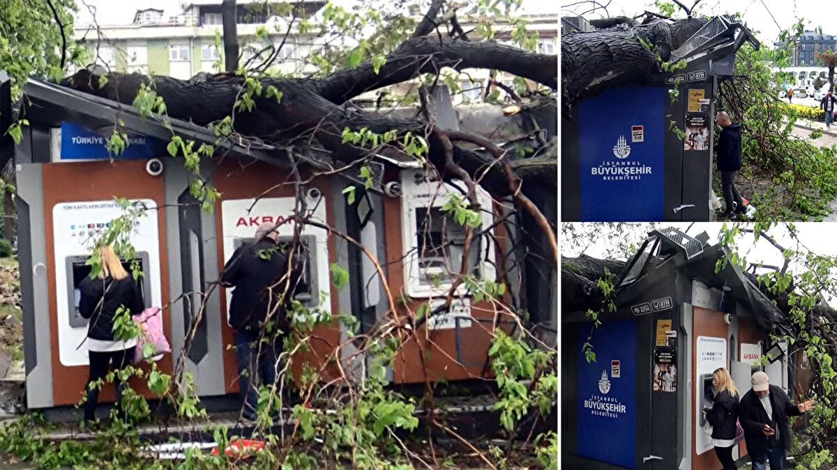 Merkez Mahallesi'nde Atatürk Parkı'nın hemen yanında bulunan ATM kabininin yanındaki en az 100 yıllık olduğu belirtilene dut ağacı dün öğle saatlerinde büyük görüntü ile kırıldı. Ağacın kırılan bölümü hemen yandaki ATM kabinlerinin üzerine düştü. 