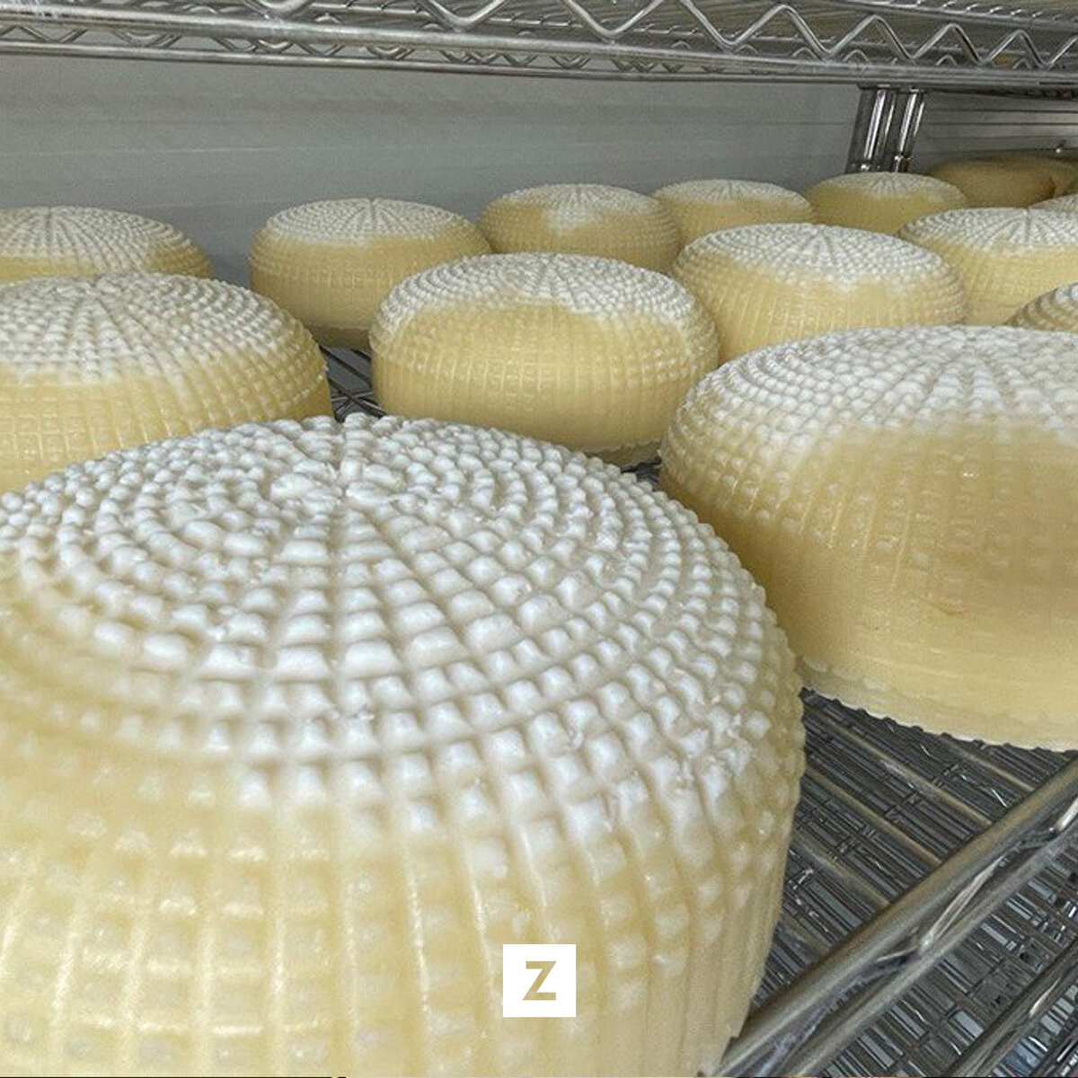 Pınarbaşı ilçesi Örenşehir Mahallesi'nde yer alan eski jandarma karakol binasının Kayseri Büyükşehir Belediyesi ve Pınarbaşı Belediyesinin girişimiyle işletme tesisine çevrilmesiyle günlük 1 ton sütten coğrafi işaret belgesine sahip Çerkez peyniri üretilmeye başlandı.