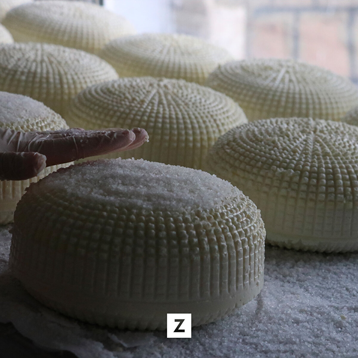 Kafkasya'dan göç eden Çerkezler tarafından geleneksel peynirin üretildiği tesis sayesinde hem bölgedeki besiciler süt satarak kazanç sağlıyor hem de peynir satışından elde edilen gelirle 300 öğrenciye burs veriliyor.