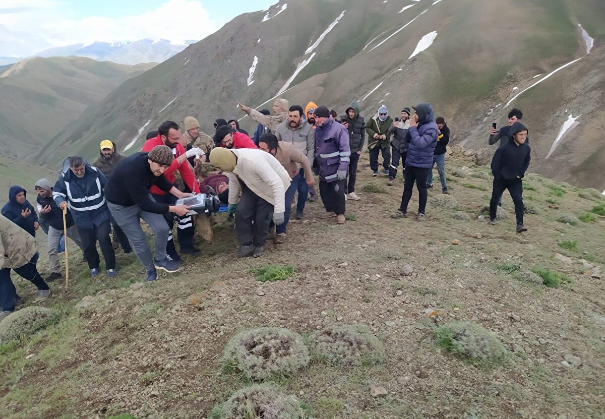 Yaylada bulunan vatandaşların haber vermesi üzerine bölgeye sağlık ve jandarma ekipleri sevk edildi. 