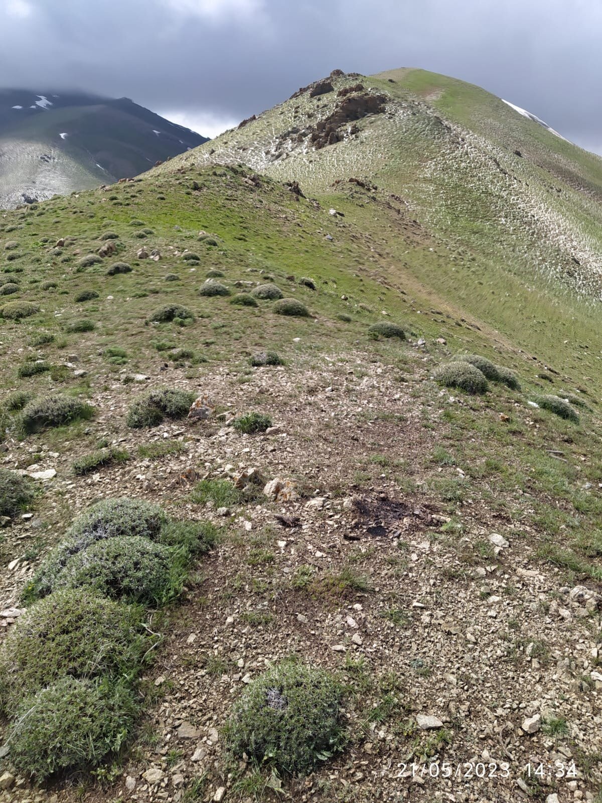 Sağanak yağışla birlikte sık sık şimşekler çaktı. Çobanlar, küçükbaş hayvanları korunaklı bir yere götürmeye çalışırken üzerlerine şimşek düşmesiyle yaralandı. 