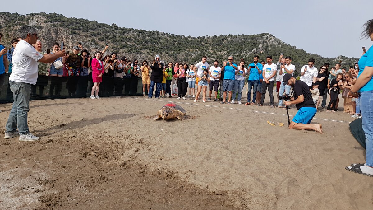 Caretta carettaya taktıkları cihazın içinde güneş paneli olduğunu belirten Kaska, "Pili bittiğinde tekrar şarj edebiliyor. Bunu, AB tarafından desteklenen Life Med Turtles Projesi çerçevesinde geliştirdik. Bunun ilk denemesini de burada uyguladık" diye konuştu.<br><br>