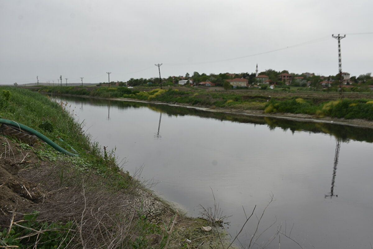 Trakya Platformu Hukuk Kurulu Üyesi Avukat Bülent Kaçar, kirliliğin kaynağından engellenebileceğini belirterek, arıtması olmayan fabrikaların geçici veya süreli kapatılması gerektiğini söyledi. Kaçar, "Ergene havzasından Trakya'ya yaratılan bu kara tabloyu ancak devletin ve bakanlıkların alacağı etkin ve sürekli denetim tedbirleri ile önlemek mümkündür. Aksi takdirde birtakım günlük çözümlerle ya da açıklamalarla bu kara tablo devam edecek" dedi.<br><br>