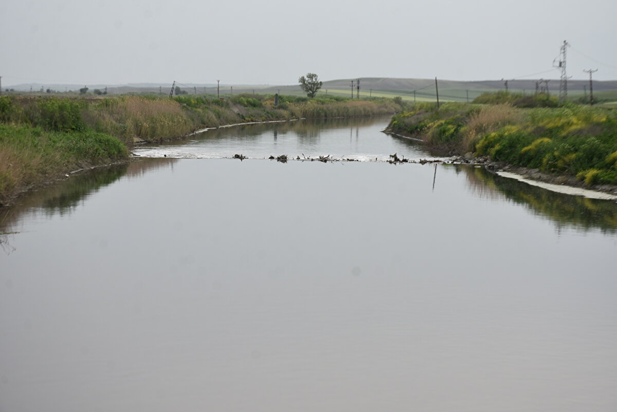 Ölçümlerde bu değer 136'ya çıkmış. Demir de 110 litre seviyesine çıkmış. Dolayısıyla bu değerler, izin verilen çevresel kriterlerin üzerinde. Bir de evsel atıkların, kanalizasyon sularının daha anlaşılabilir tabirle söylemek gerekirse akar sulara karıştığı anlamına geliyor" diye konuştu.<br><br>