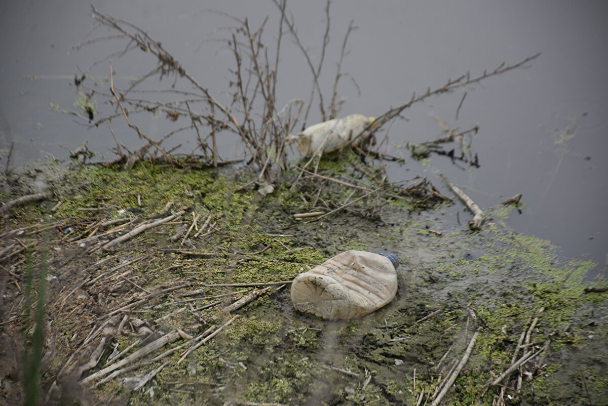 Uzunköprü Çevre Gönüllüleri Derneği Başkanı Hacer Doğrugüven, Ergene Nehri'nin çok kirliği olduğunu belirterek, "Koku ile etrafa verdiği zarar felaket bir durumda. Maalesef Trakya'mızı, Uzunköprü'müzü mahvediyor. Çıktığı yer çok temiz ama Çerkezköy, Çorlu'dan sonra maalesef çok kirli bir durumda.<br><br>