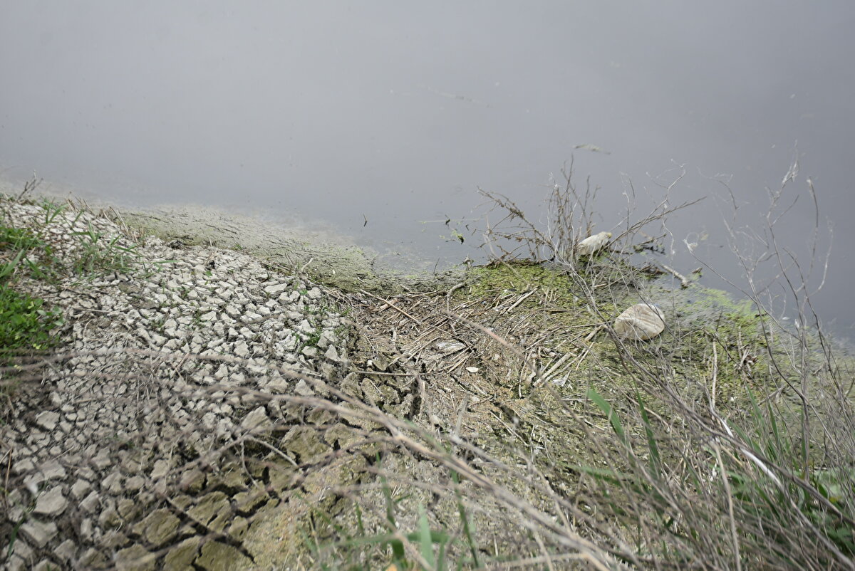Ergene, yıllardır temizlenmesi için uğraştığımız halde temizlenmiyor. Yetkililer hiçbir tedbir almıyor. Almadıkları gibi de bizi hastalıklara mahkum ediyorlar. 90'lı yıllardan itibaren her dakika 'tedbir alıyoruz, temizliyoruz' diyerek zaman geçiyor. Siyasiler geliyor, bakıyor ve gidiyor. 'Tamam temizleyeceğiz' diyorlar, sonra da 'Uzunköprü'nün köftesi güzelmiş' deyip, yiyip, gidiyorlar" diye konuştu.<br><br>