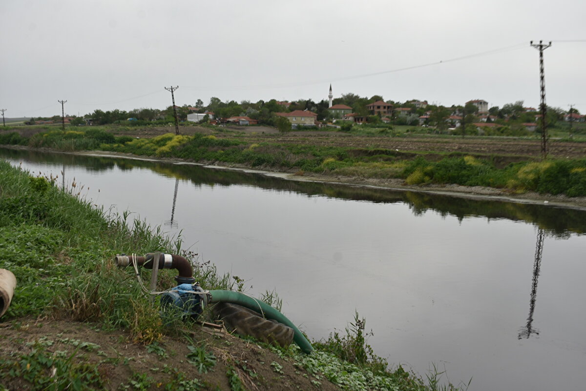 Raporu inceleyen Namık Kemal Üniversitesi Çorlu Mühendislik Fakültesi Dekanı Prof. Dr. Lokman Hakan Tecer, Ergene'nin bölgede önemli olduğunu, yerleşim yerleri ile endüstriyel bölgeden etkilenen bir nehir olduğunu söyledi.<br><br>