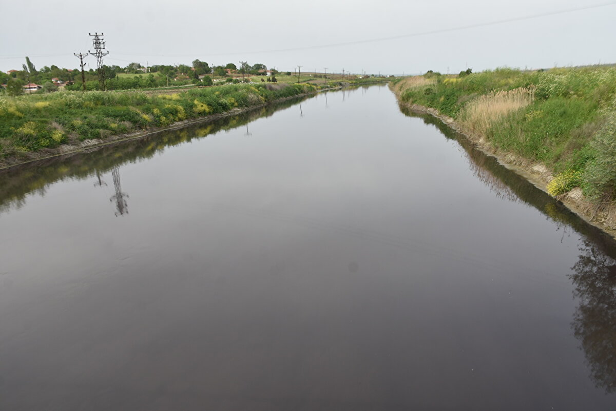 Hazırlanan raporda, nehir suyunun izin verilen çevresel kriterlerin üzerinde kirli olduğu belirtildi.<br><br>