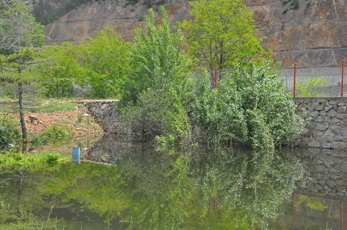 Vauk Dağı'ndan doğup Karadeniz'e dökülen, geçtiği 160 kilometre boyunca derin vadilere hayat veren Harşit Çayı üzerinde enerji üreten Torul Barajı'nda, yağışlarla birlikte su seviyesi yükseldi, taşkın meydana geldi.