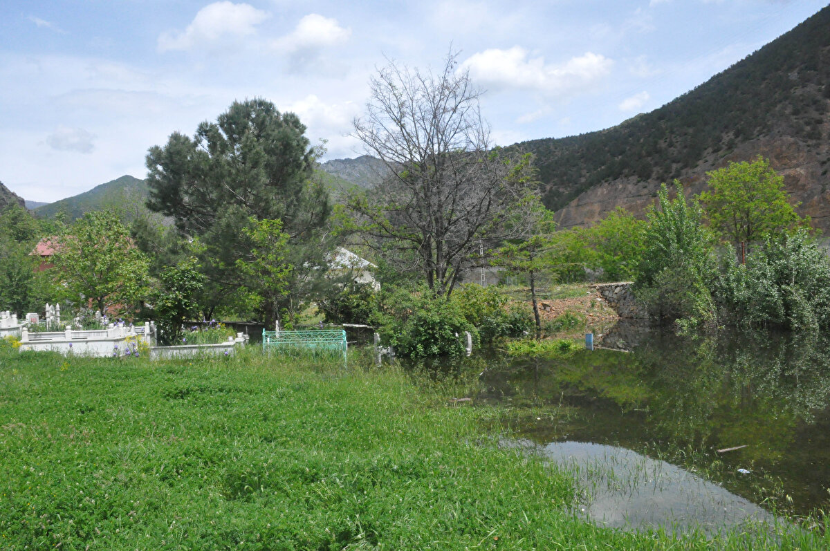 Karadeniz Bölgesi'nin Doğu Karadeniz Bölümü'nde son günlerde yağışların artması ve karların erimesi taşkınlara yol açıyor. 