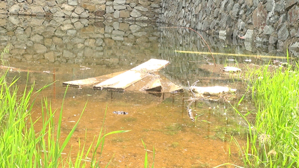 Suya gömülen mezarlığa 'nakil' talebi