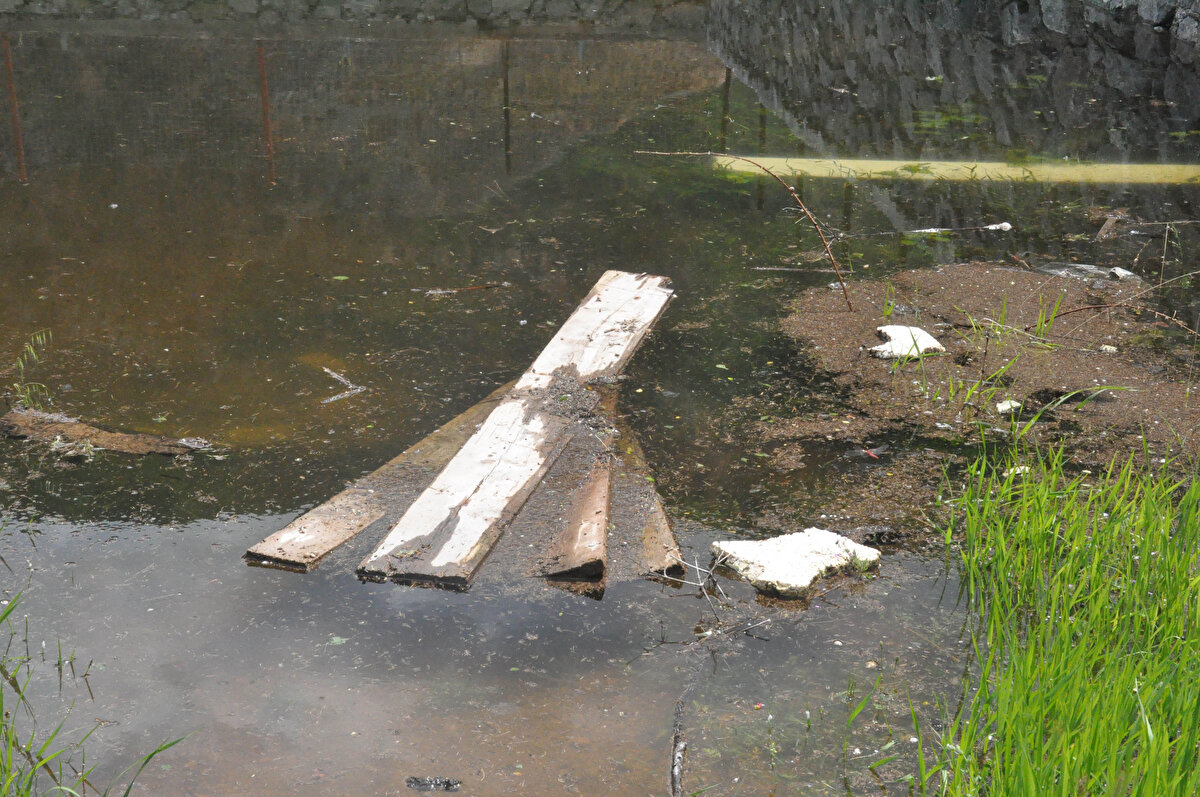 Çamlıca Mahallesi'ndeki mezarlık taşkın nedeniyle su altında kaldı. 