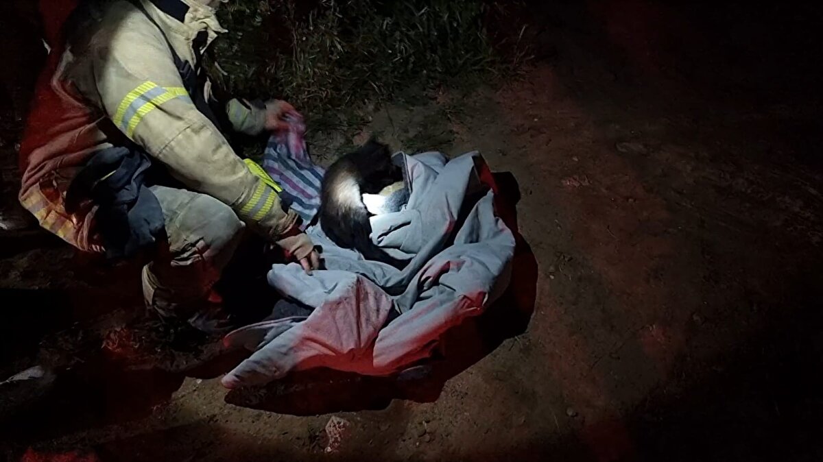 Olay yerindeki ilk müdahalenin ardından hastaneye kaldırılan yaralının hayati tehlikesinin olmadığı öğrenildi.