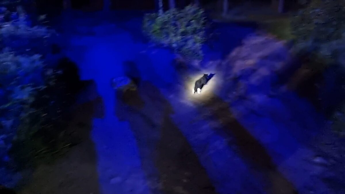 Öte yandan, itfaiye ekipleri kurtarma çalışmaları sırasında kuyuya daha önce düştüğü düşünülen bir kediyi de fark edip mahsur kaldığı kuyudan kurtardı. Polisin olayla ilgili çalışmaları devam ediyor.