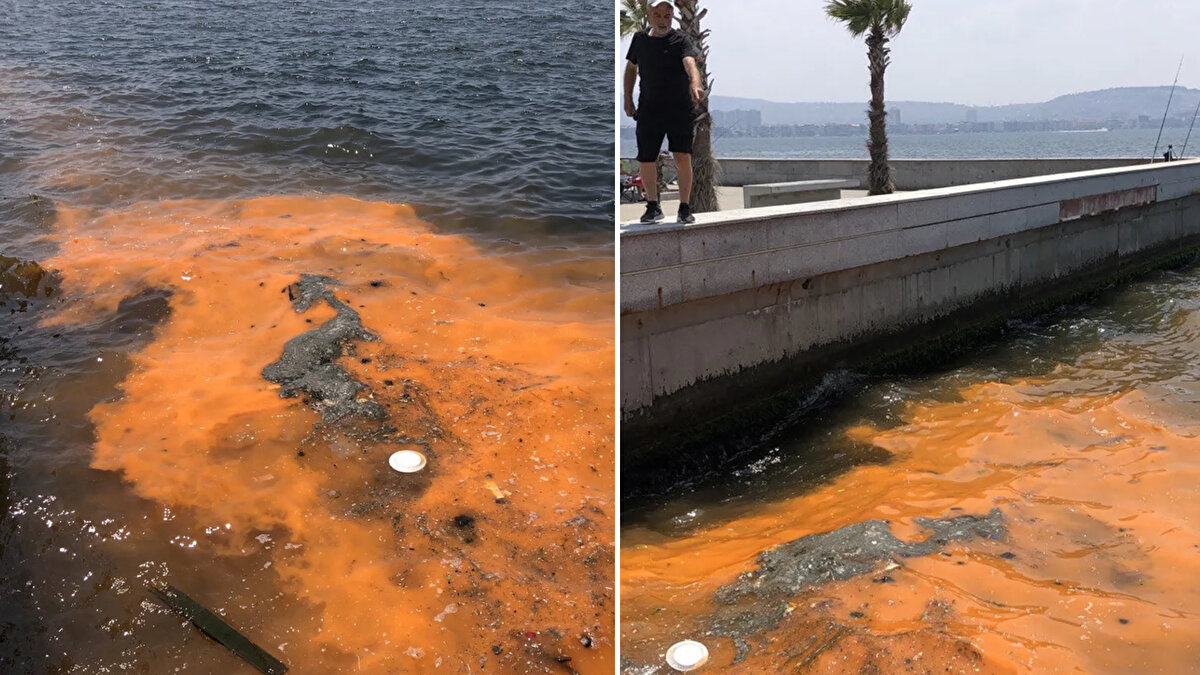 Cumhurbaşkanlığı Türkiye Ulusal Risk Kalkanı Modeli Kurulu Üyesi ve Türkiye Tabiatını Koruma Derneği (TTKD) Bilim Danışmanı Dr. Erol Kesici, İzmir Körfezi'nde Bostanlı, Karşıyaka, Bayraklı, Konak, Narlıdere gibi birçok noktada suyun kırmızı ya da turuncu renklere boyanmasına ilişkin konuştu. Dr. Kesici, son 1 haftada görülen renk değişiminin mikroskobik alg türü (su yosunu) nedeniyle yaşandığını belirtti.<br><br>İzmir Körfezi gibi biyolojik çeşitliliği giderek azalan, su kalitesi bakımından kirlilik yükü fazla ortamlarda, bu tür alglerin aşırı çoğalıp, kirliliğe neden olduğunu belirten Dr. Kesici, "Bu durum, antropojenik ötrofikasyonun (kültürel kirlilik) çok önemli göstergelerindendir. İzmir Körfezi atık yüklü derelerin, çevresindeki yerleşimlerin, tarım ve sanayinin yoğun baskısı altında. Körfezin kirlilik sorunu yarım asırdır sürüyor. İzmir Körfezi'nin suyunda atıklar nedeniyle azot ve fosfor yükü oldukça fazla" dedi.