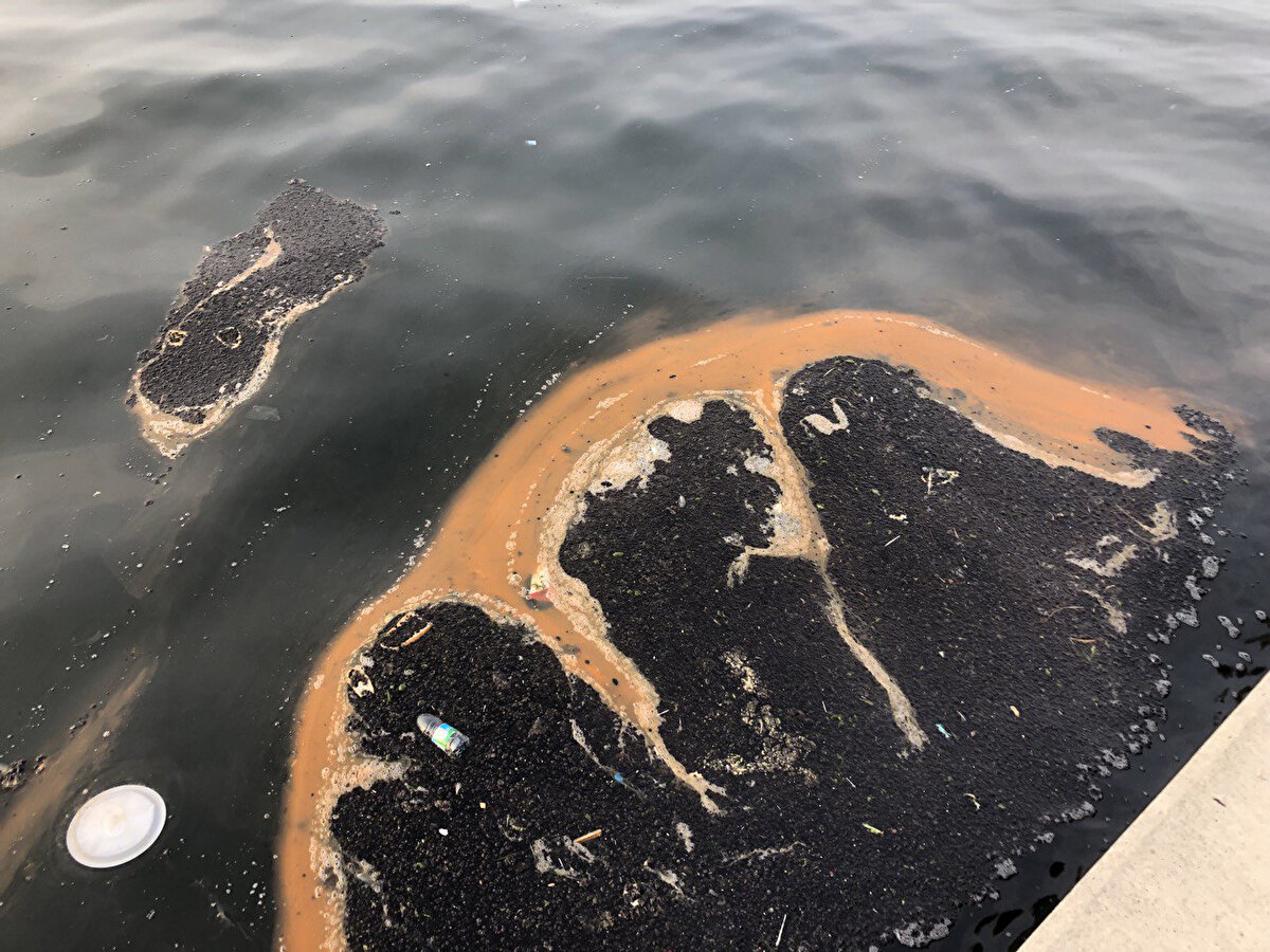 Bu tür alglerin aşırı çoğalıp, ortamda oluşturduğu örtünün oksijen miktarını azalttığını açıklayan Dr. Kesici, "Bu durum bulanıklığa, ortamdaki biyokimyasal reaksiyonların artmasına yol açar. Işınların dip kesime ulaşmasını engelleyerek, dip çamurundaki bakterileşmeyi artırır. Bu olumsuzluklar, toksik etkileri ile deniz ekosistemindeki biyolojik çeşitliliğin azalmasına neden olur. İzmir Körfezi'nde sıklıkla meydana gelen durum, doğal, biyolojik bir olay değildir" diye konuştu.<br><br>İzmir Körfezi'nin çok hassas dengeye sahip olduğuna dikkati çeken Dr. Kesici, "Özenle, geçici değil; bilimsel çözüm yolları ile korunması, kullanılması gerekir. Körfez, kültürel kirliliğin çok yoğun baskısı altında. Yazın körfezde yaşamı büyük oranda etkileyen koku ve görüntü kirliliği, deniz marullarının aşırı artışının etkisi, kirlilik göstergesi olan alg patlaması gelip, geçici görülmemeli ve de göz ardı edilmemeli. Bunlar, denizin kirlenmesinin belirtisi olarak bilinir. Daha da kötüsü; belli süre sonra dağılan bu küme cisimler dibe çökerek, parçalanmak için deniz suyundaki oksijeni tüketecek, bu sırada oksijensiz kalan canlılarda toplu veya kısmi ölümler görülebilecektir" dedi.