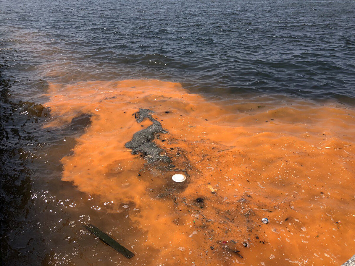 Öte yandan Dr. Kesici, dengeli bir ekosistem ortamında alglerin doğal ve önemli olduğunu, bünyelerindeki azot, fosfor gibi elementleri karbonhidrata çevirip, suyun oksijen miktarını artırdığını söyledi. Özellikle kültürel kirlilik nedeniyle alglerin doğal işlevlerini yerine getiremediğini ifade eden Dr. Kesici, bu tek hücreli mikro organizmaların yaz geceleri mavi yeşil ışık verip, biyolüminesansa (kimyasal enerjinin ışık enerjisine dönüştürülmesi ile ışık üretilmesi ve yayılması) neden olduklarını da vurguladı.<br><br>