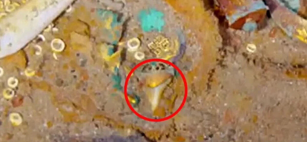 Bununla birlikte, İngiltere ve ABD arasında yapılan bir anlaşma, halkın enkazdan ve çevresindeki bölgedeki eserleri çıkarmasını engelliyor. Bu nedenle Magellan'dan gelen ekibin deniz dibindeki enkaza dokunmasına izin verilmedi ve araştırmacılar kolyeyi bölgede bırakmak zorunda kaldı.<br><br>