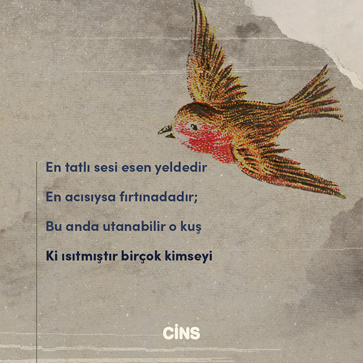 En tatlı sesi esen yeldedir
En acısıysa fırtınadadır;
Bu anda utanabilir o kuş
Ki ısıtmıştır birçok kimseyi
