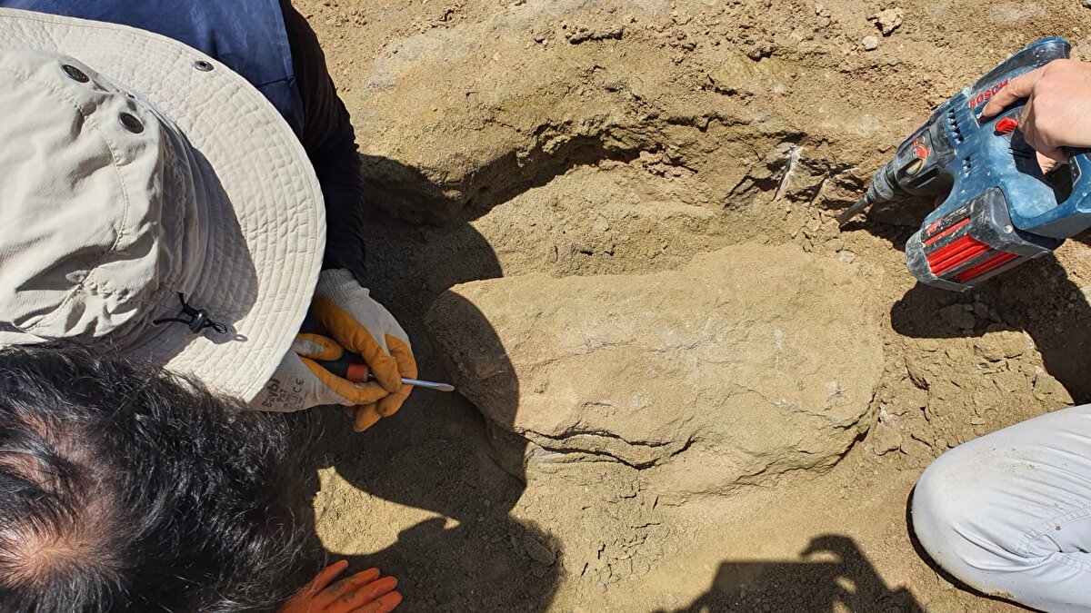 Maden Tetkik ve Arama Genel Müdürlüğü Şehit Cuma Dağ Tabiat Tarihi Müzesi uzmanlarınca 2015'ten itibaren aralıklarla yapılan kazıların bu yılki saha çalışmaları tamamlandı.<br>