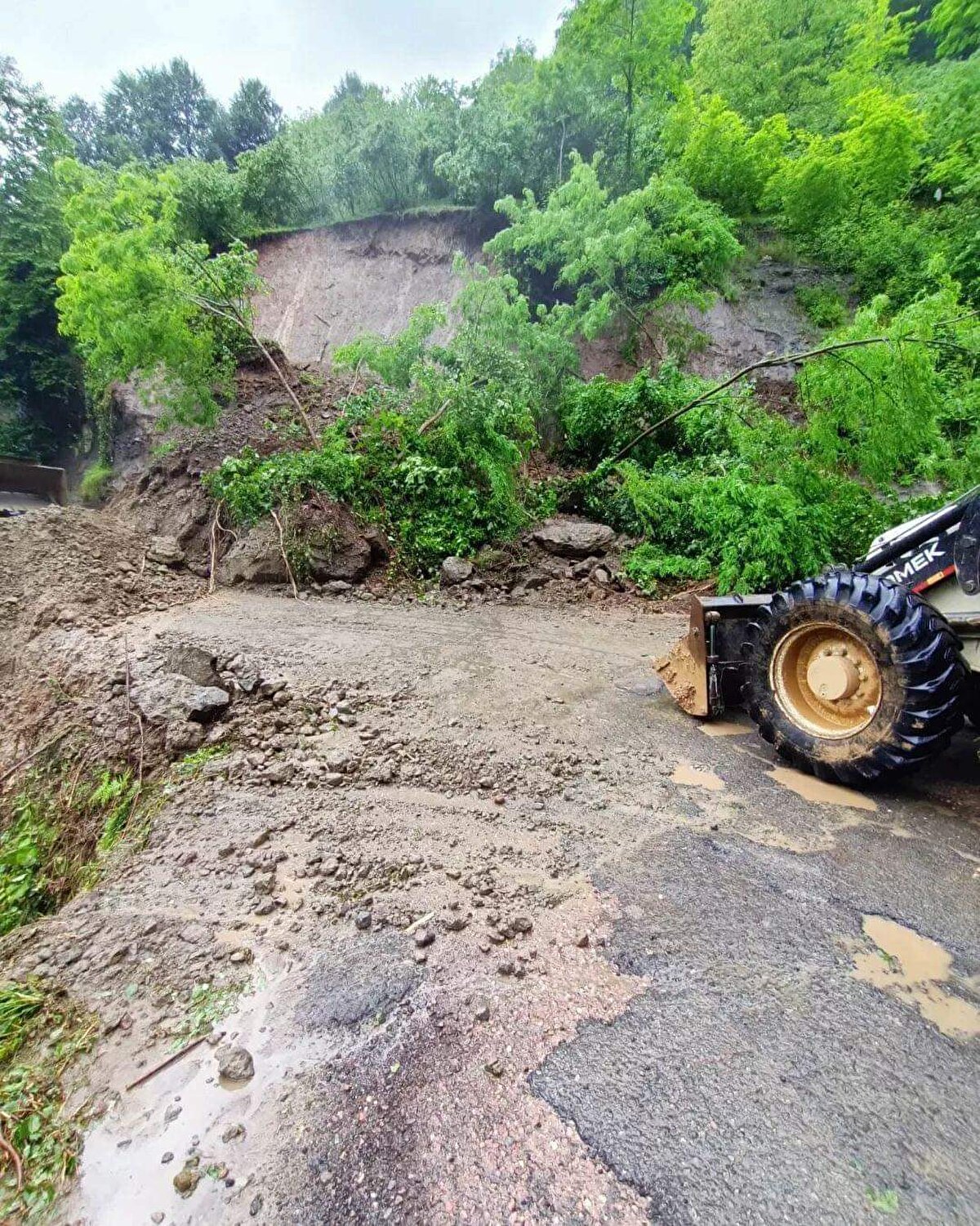 Aralıklarla yağan sağanakta, metrekareye ortalama 100 kilogram yağışın düştüğü ilçede derelerin debisi yükseldi.