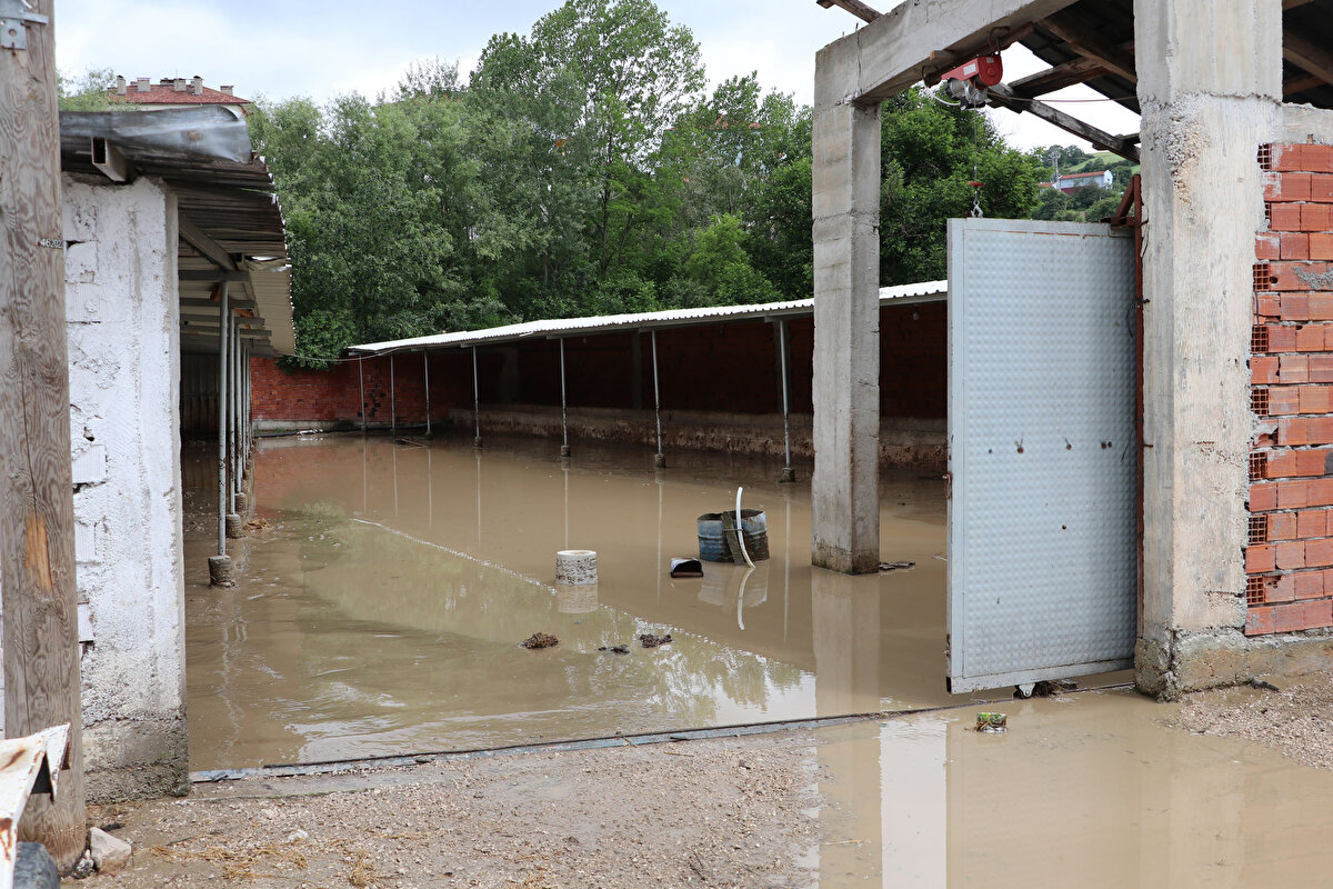 Sinop merkezdeki karayolunun ulaşıma açık olduğu, kapanan köy yollarının ulaşıma açılması için İl Özel İdare ekiplerinin çalışmalarını sürdürdüğü bildirilen açıklamada, "Çankırı, Karabük, Bartın, Zonguldak, Bolu ve Düzce illerinden motopomp, vidanjör, kamyon, ekskavatör takviyesi ve arama kurtarma çalışmalarına destek vermek üzere personel görevlendirilmiştir." ifadesine yer verildi.<br>
