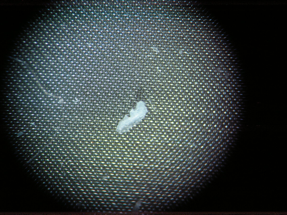 Sıralamayı paylaştı<br>Sıralamayı, tespit edilen mikroplastiklerin boyutlarına göre yaptıklarında ilk sırada kokoreç, ikinci sırada börek, üçüncü sırada da Urfa kebabın geldiğini işaret eden Özuluğ, "Plastik tezgahlar üzerinde işlem görmüş börek, kokoreç ya da Urfa kebaptan her hafta sadece biri tüketildiğinde bir yılda iki saç eninde ve 5 metreden biraz fazla uzunlukta bir plastik yükü vücuda alınıyor" diye konuştu.