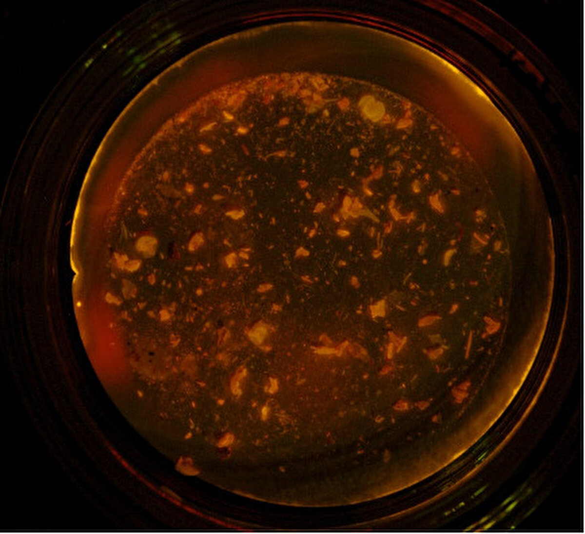 Çalışmasının detaylarını ve sonuçlarını paylaşan Özuluğ, gıdalardaki mikroplastiklerin tespitinde özel filtreler ve cihazlar kullandıklarını anlattı.<br>