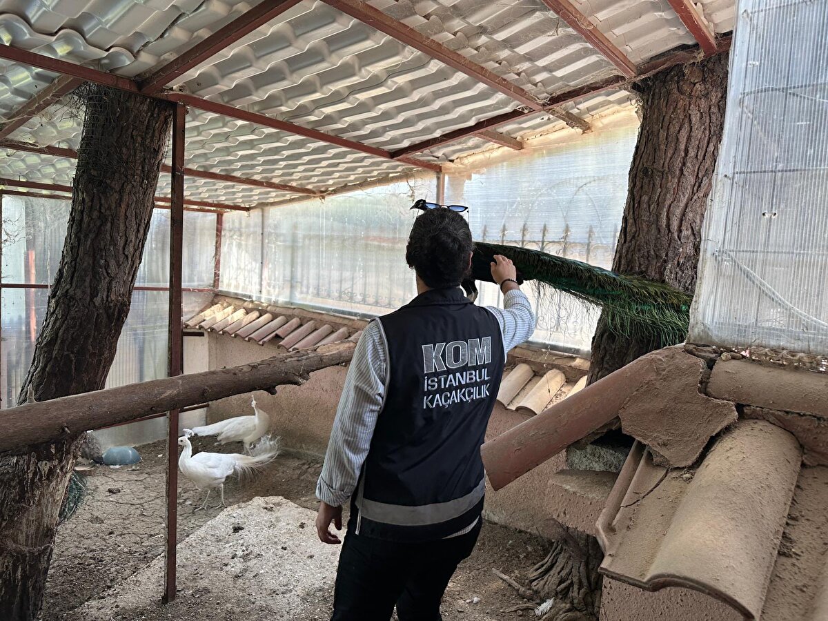 İhbarı değerlendiren ekipler söz konusu adrese operasyon düzenledi.