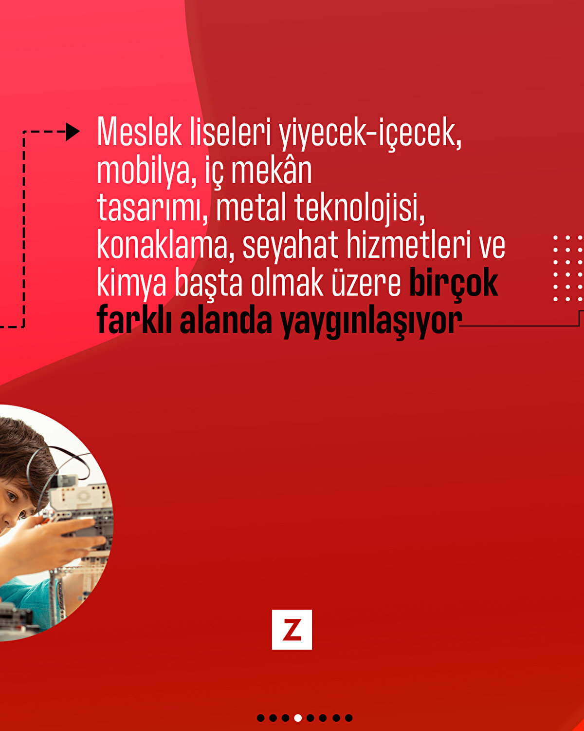 Meslek liseleri yiyecek-içecek, mobilya, iç mekân
tasarımı, metal teknolojisi, konaklama, seyahat hizmetleri ve kimya başta olmak üzere birçok farklı alanda yaygınlaşıyor