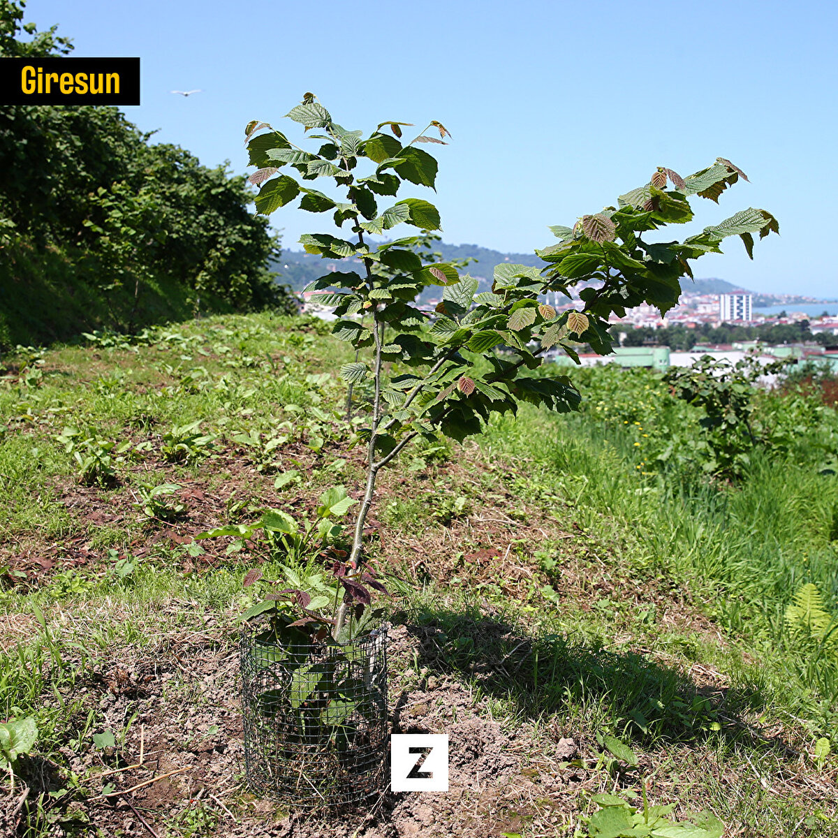 Enstitü Müdürü Aysun Akar, Tarımsal Araştırmalar ve Politikalar Genel Müdürlüğünün değerlendirme toplantıları sonucunda 4 projelerinin desteklenmesinin uygun görüldüğünü söyledi.