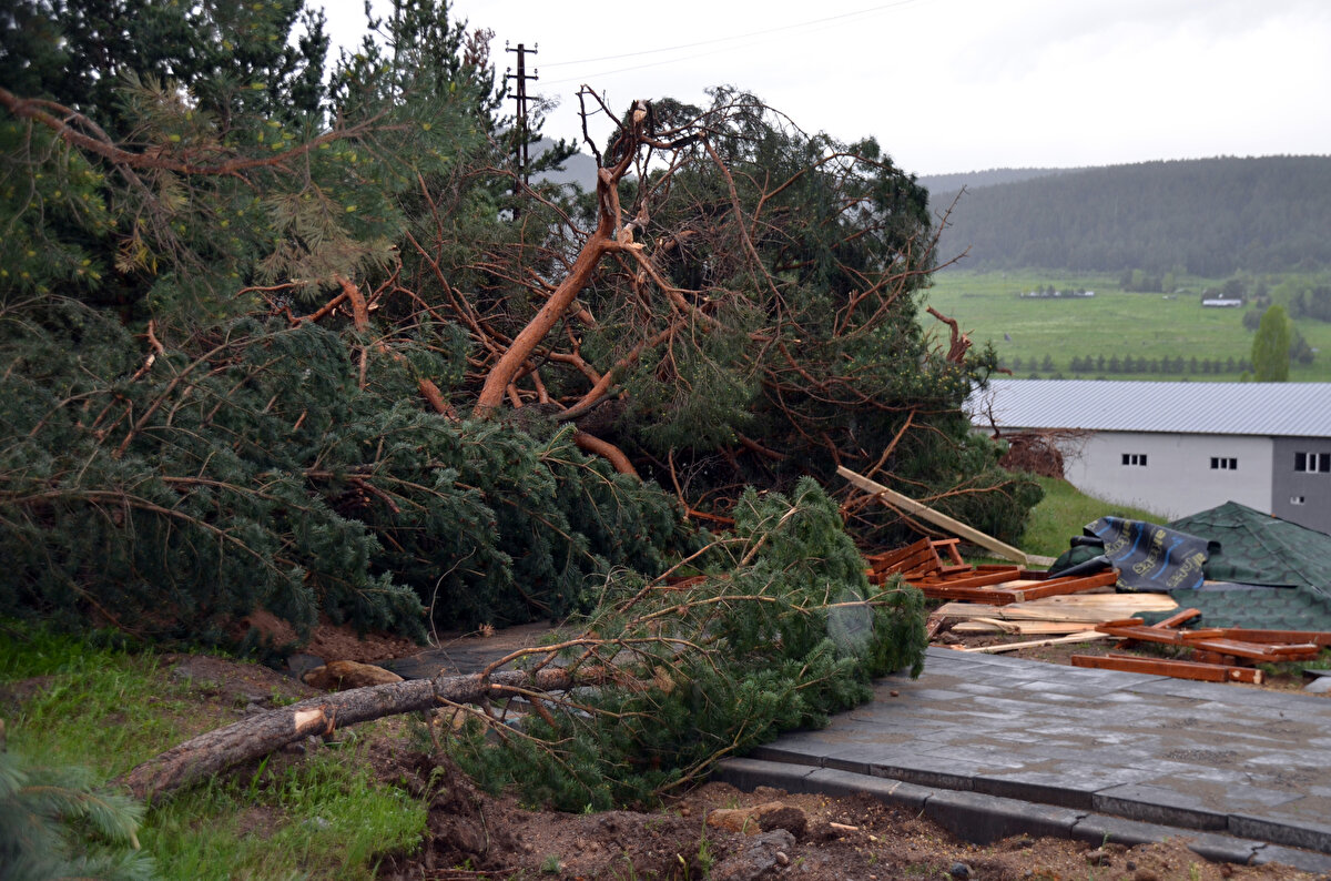 Mahalle sakinlerinden Nurettin Kaya, AA muhabirine, "Kamelyada otururken karşıda bir eski binanın sacları üzerimize geldi. Sonra bizi döndürerek havaya kaldırdı gördüğünüz gibi ağaçları yıktı. Dereye doğru koştuk, çamlar üzerimize düşseydi ölmüştük" dedi.