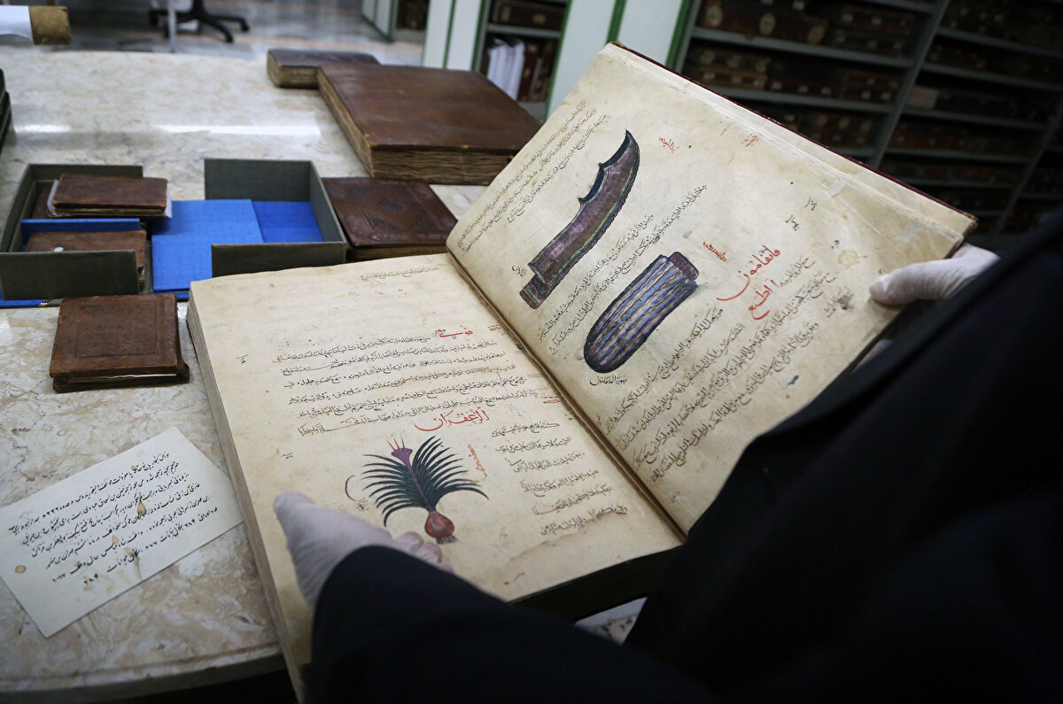 Razi'nin bitkileri tanıtıp hangi hastalığa faydalı olduğunu anlatan kitabının nadir güzellikteki eserlerden olduğunu dile getiren Hasanabadi, kitabı tanıtırken, “Alanında büyük değere sahiptir. Nüsha tıp alanında yazılmış olup 800'den fazla tasvir bulunduruyor. Bilgiler çizimlerle beraber yazılmıştır. Örneğin kamış, safran hakkında bilgiler bulunuyor. Bu da bu topraklarda safranın tarih boyunca ne kadar önemli olduğunu gösteriyor. Bu kitap yaklaşık 700 yıl önceye aittir.” şeklinde konuştu.