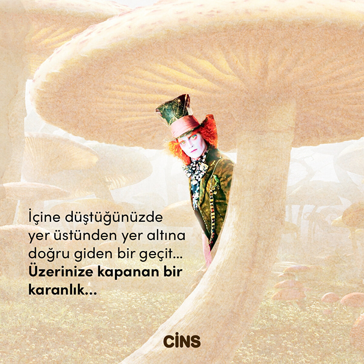 İçine düştüğünüzde 
yer üstünden yer altına doğru giden bir geçit… 
Üzerinize kapanan bir karanlık…