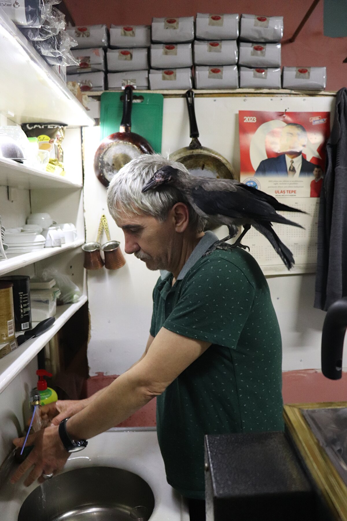 Ordunun Ünye ilçesinde çay ocağı işletmecisi Adem Kaya ile yaralı olarak sahiplendiği ve işletmenin maskotu haline gelen tek gözü görmeyen Korsan isimli karganın dostluğu görenleri şaşırtıyor.<br><br>