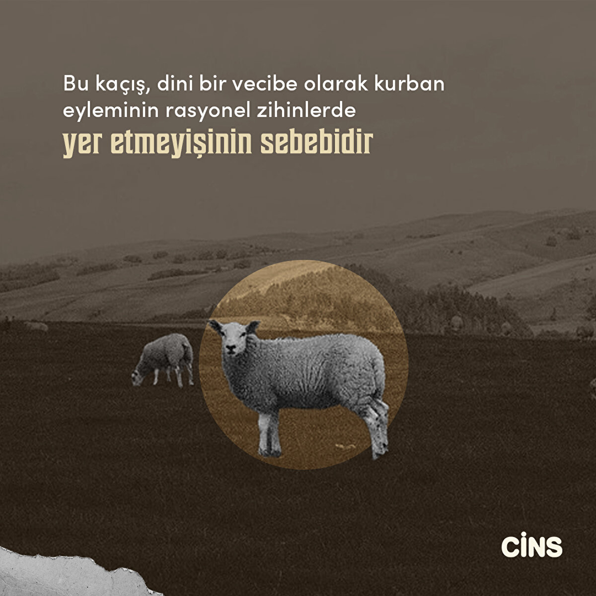 Bu ka&#231;ış, dini bir vecibe olarak kurban eyleminin rasyonel zihinlerde yer etmeyişinin sebebidir